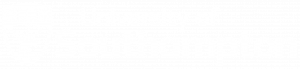 University of Southampton Logo - white transparent crop