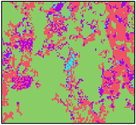 Area of High Entropy Score