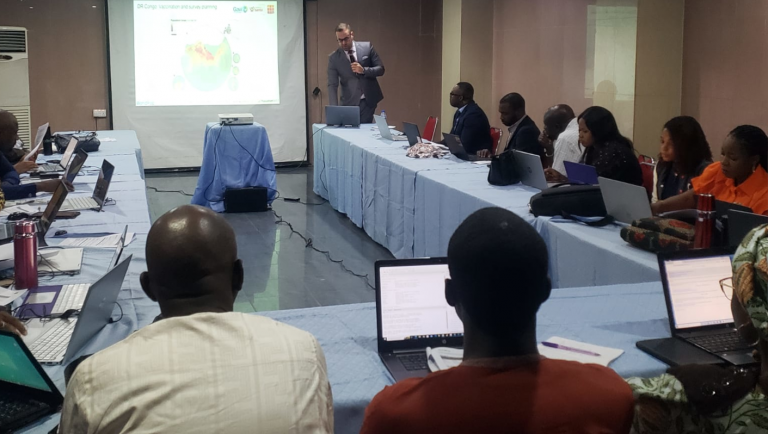 Photo of Dr Sarchil Qader presenting preEA Workshop, Abuja, Nigeria - 06/02/2023