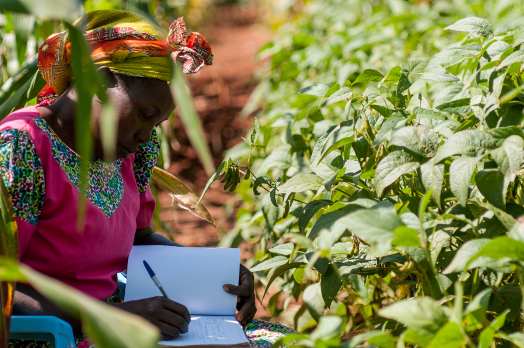 Climate-smart soils: testing soil health in Western Kenya