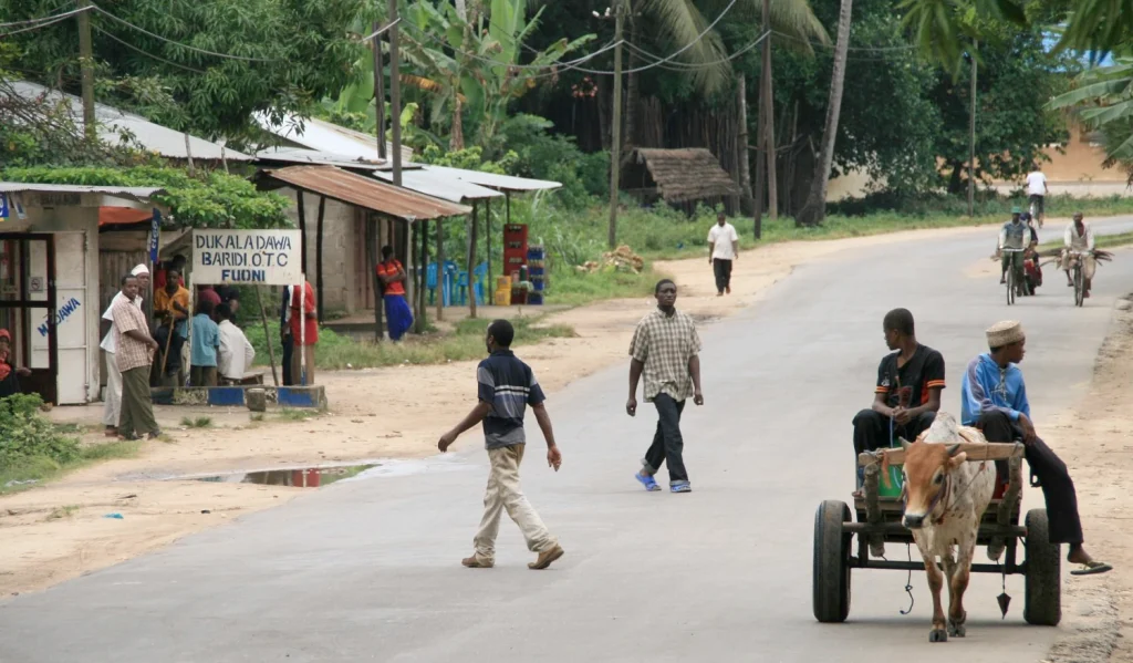 Photo of a street scene in Zanzibar