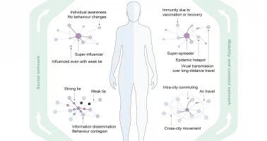 Graphic illustrating the potential impact of social, mobility and contact networks on infectious disease transmission.