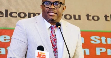Photo of Dr Chris Nnanatu presenting at the High Level Engagement meeting.