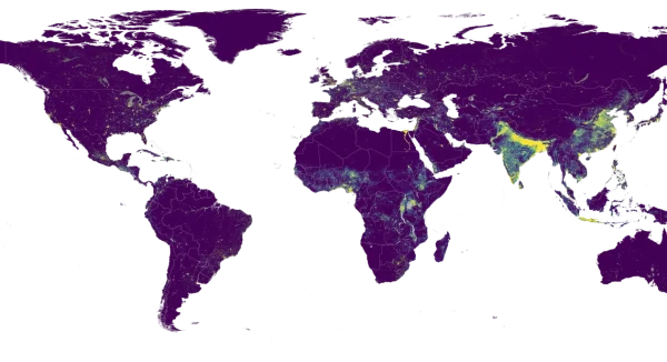 Estimated global population counts in 2025 for each 100x100m grid square. Yellow/green = high numbers, Blue = low/zero numbers.