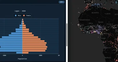 Screen capture of Lagos, Nigeria population pyramid.